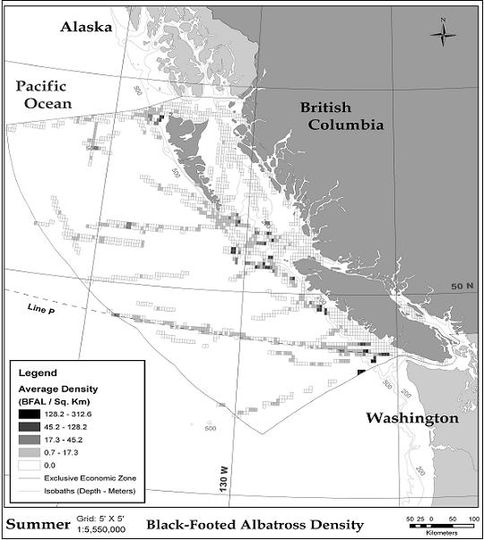 Figure 6.  Black-footed Albatross density in Canadian waters, summer survey tracks (16 Jun – 15 Sep). Source: Environment Canada, Pacific and Yukon Region.