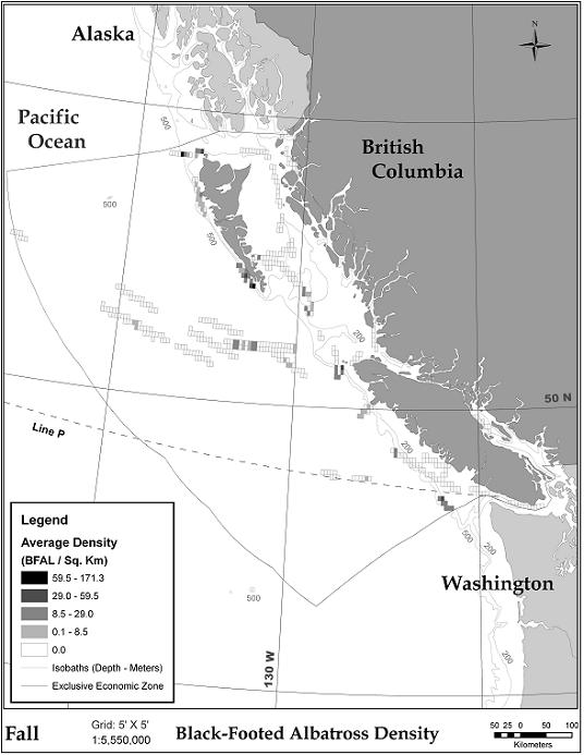 Figure 7.  Black-footed Albatross density in Canadian waters, fall survey tracks (16 Sep – 15 Dec). Source: Environment Canada, Pacific and Yukon Region.