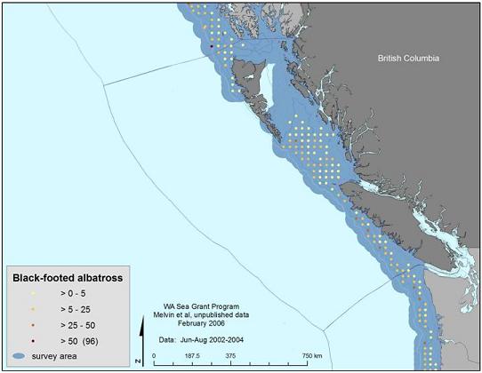 Figure 8.  Black-footed Albatross density in Canadian waters within International Pacific Halibut Commission (IPHC) survey areas (surveys from June – August, 2002 – 2004). Source: WashingtonSeaGrant.