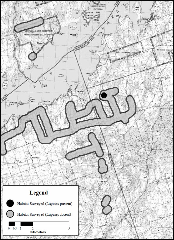 Figure A5. Rice Lake Study Area Survey Sites.