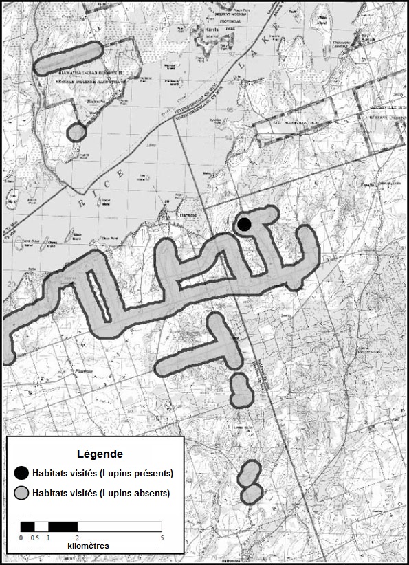 Figure A5. Emplacement des relevés effectués dans la région du lac Rice.