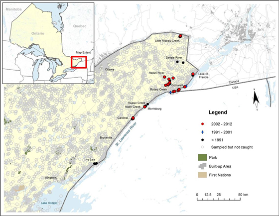 Distribution of Cutlip Minnow, Exoglossum maxillingua, in Ontario