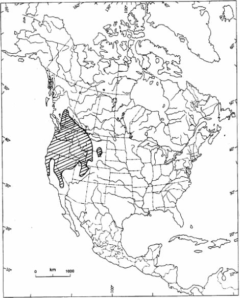 Map shows the North American range of the Northern Rubber Boa