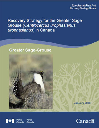 Species at Risk Act Recovery Strategy Series Recovery Strategy for the Greater Sage-Grouse (Centrocercus urophasianus urophasianus) in Canada Greater Sage-Grouse (January 2008).