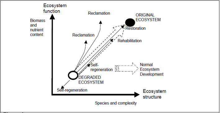 Degradation or loss of ecosystem structure and functions