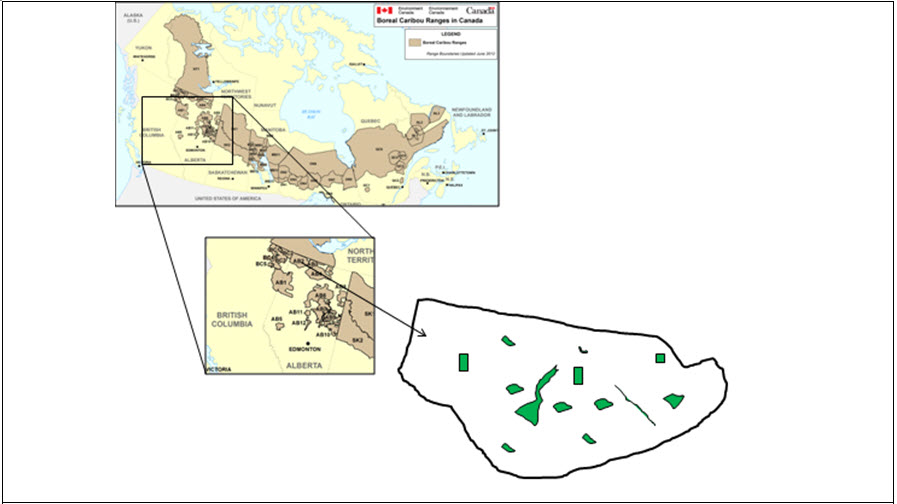 Multi-scale perspectives of caribou habitat restoration