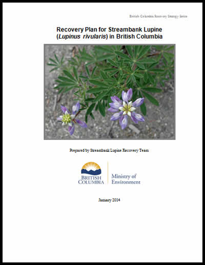 Photo of Part 2 document cover