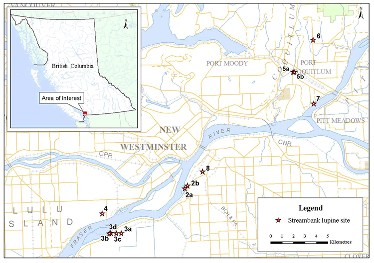 Map: Distribution of streambank lupine in the Lower Mainland area of southwestern B.C sites represented by stars
