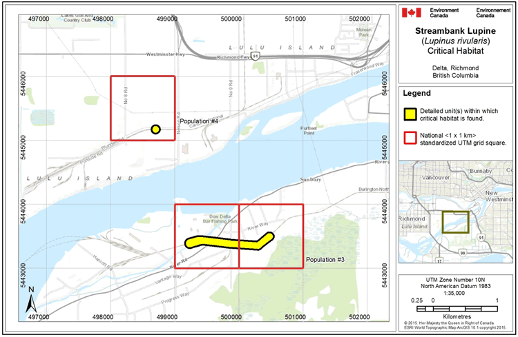Map: Critical habitat for Streambank Lupine - Delta, Richmond, British Columbia