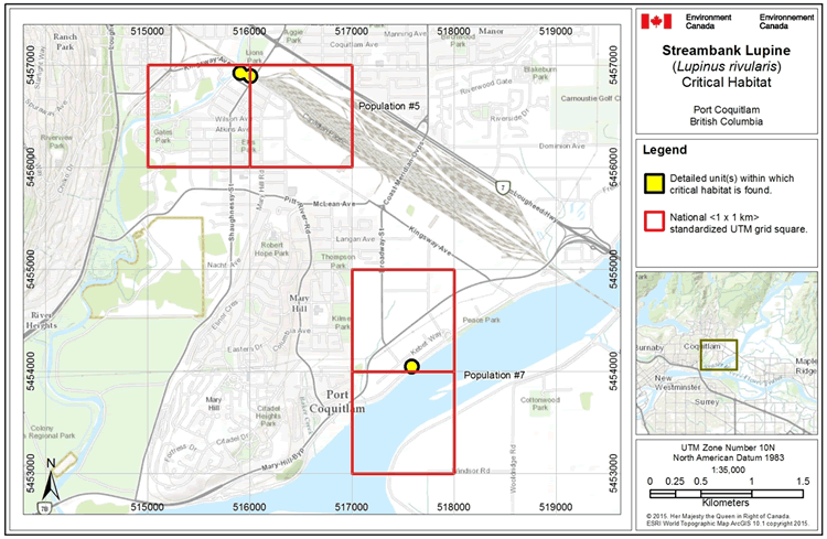 Map: Critical habitat for Streambank Lupine - Port Coquitlam, British Columbia