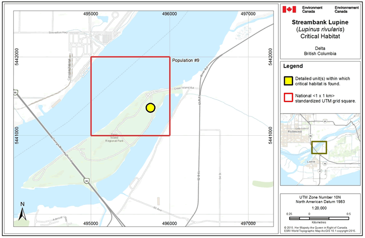 Map: Critical habitat for Streambank Lupine - Delta, British Columbia