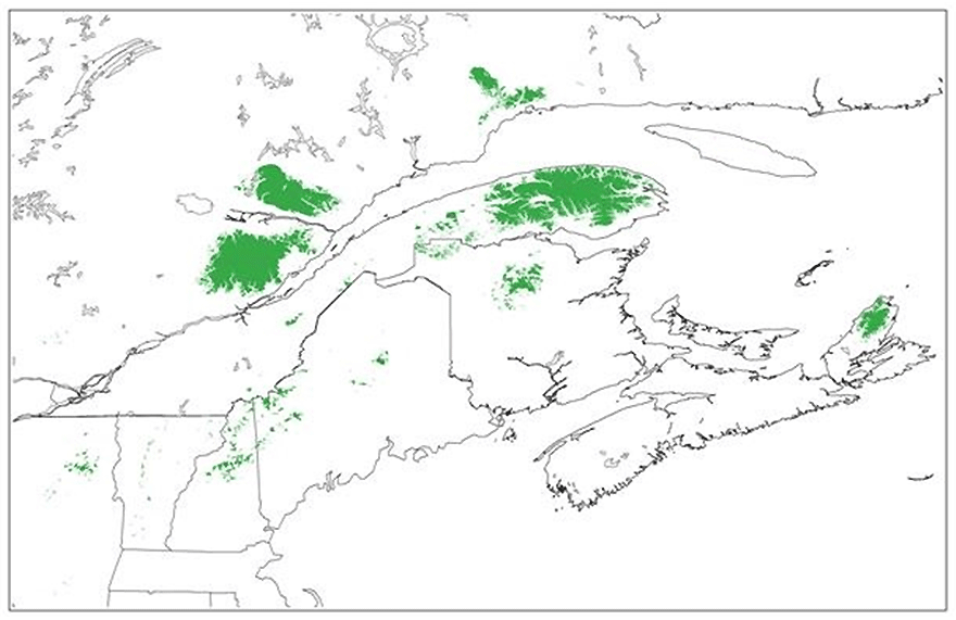 Map of Bicknell’s Thrush breeding range (see long description below)
