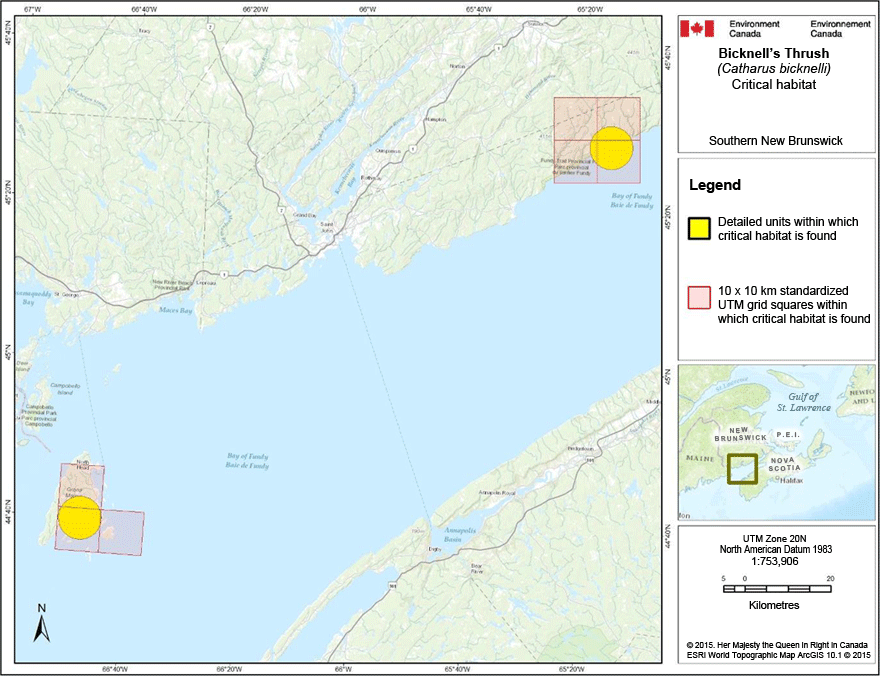 Map of C11 (see long description below)