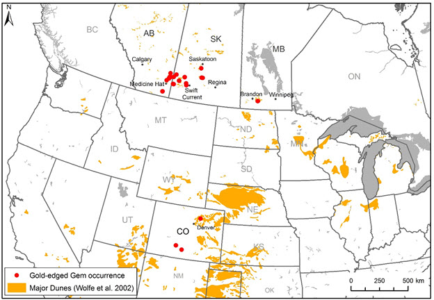 Map of global distribution of the Gold-edged Gem (see long description below)