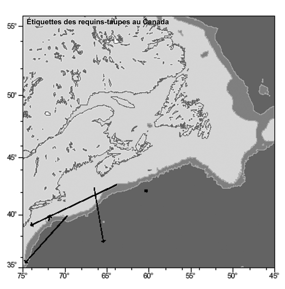 Figure 2.    Requins-taupes bleus marqués (1961-1972) dans le cadre du programme de marquage canadien. Tiré de Campana et al., 2004.