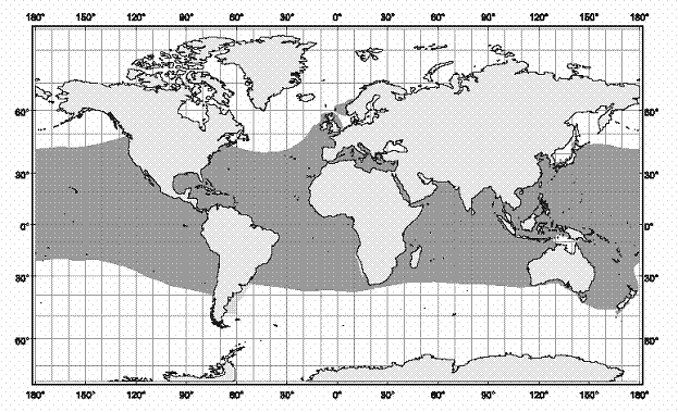 Figure 4. Global distribution of shortfin mako. Source: Compagno 2001.