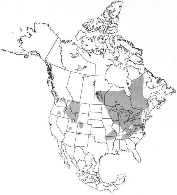 Figure 2. Distribution of mottled sculpins (Cottus bairdii) in North America.