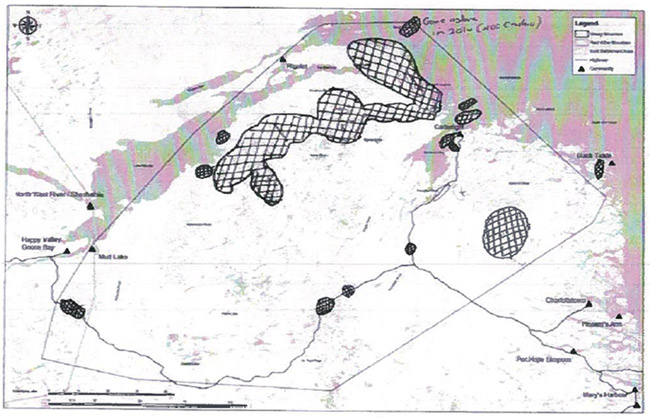 Carte - Observations du caribou boréal l’hiver dernier (1/3)