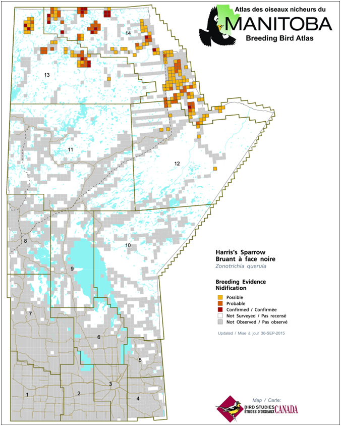 Harris’s Sparrow breeding evidence during the  Manitoba Breeding Bird Atlas, 2010-2014 (MBBA 2015)