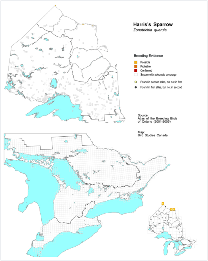 Harris’s Sparrow breeding evidence during the  2nd (2001-2005) Ontario Breeding Bird Atlas, 2010-2014