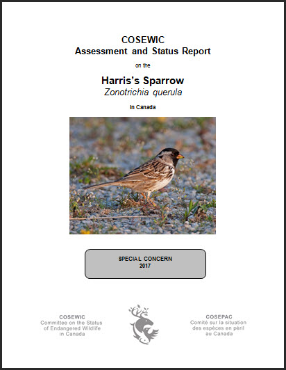 COSEWIC Assessment and status report on the Harris’s Sparrow