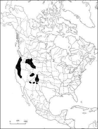 Figure 2 : Répartition mondiale de l’Isoetes bolanderi
