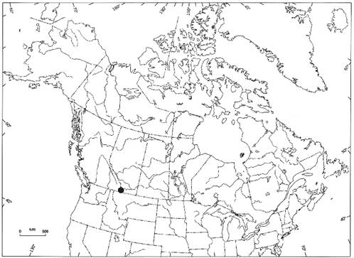 Figure 3 : Position du seul site canadien de l’Isoetes bolanderi