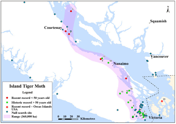 Global range and Canadian range extent of Island Tiger Moth (see long description below).