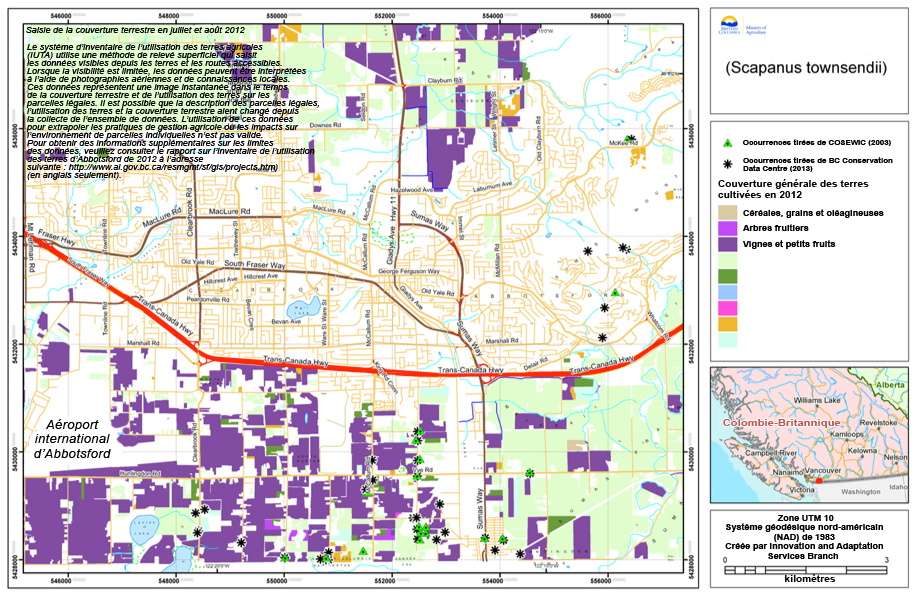 Carte montrant les occurrences de la taupe de Townsend en Colombie-Britannique