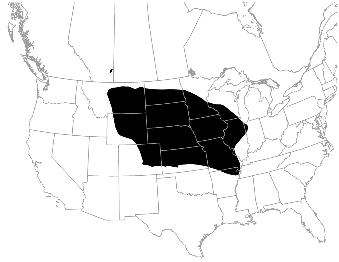 Map: Western Harvest Mouse distribution