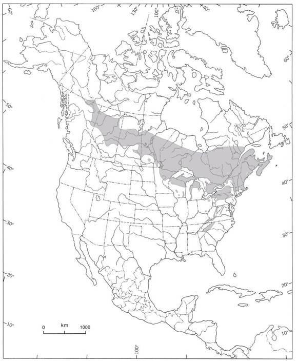Figure 1. North American breeding range of the Canada Warbler (based on Cadman et al. 1987; Gauthier and Aubry 1996; Conway 1999, Campbell et al. 2001; Sinclair et al. 2003; Lambert and Faccio 2005; Bird Studies Canada 2006a; South Peace Bird Atlas Society 2006; NatureServe 2007).