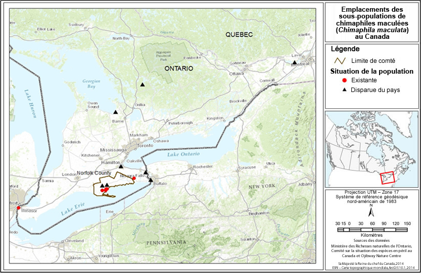 La figure 1 est une carte montrant les emplacements des populations existantes de chimaphiles maculées dans le sud de l'Ontario ainsi que les populations historiques.