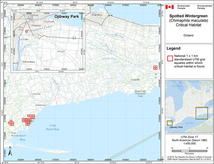 Figure 2 shows the location of the grid squares for critical habitat near Windsor, Ontario.