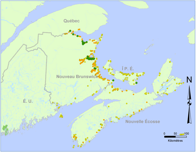 Activités de recherche ciblant l’aster  subulé. Les points verts représentent les occurrences connues selon le CDC du  Canada atlantique (AC CDC, 2016)