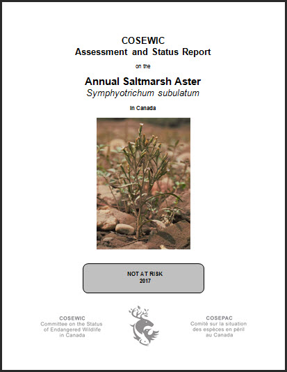 COSEWIC Assessment and status report on the Annual Saltmarsh Aster