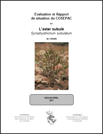 Évaluation et rapport de situation  du COSEPAC sur L’aster subulé