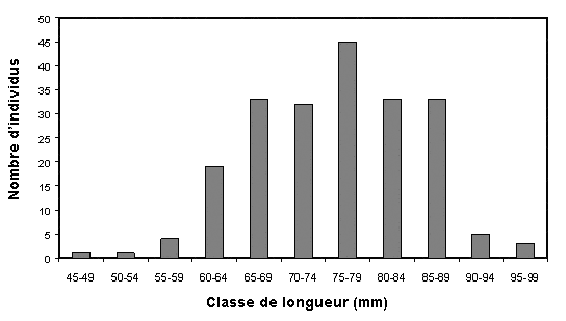 Figure 5. Distribution de fréquence de la taille de 209 Ligumia nasuta vivants récoltés dans la baie Bass, dans les eaux canadiennes du delta du lac Sainte-Claire, en 2003 et en 2004.