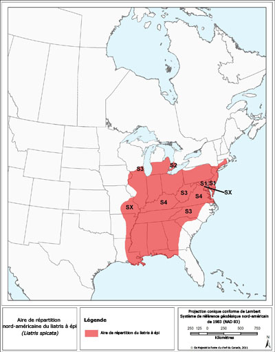 La figure 1 est une carte de l'aire de répartition nord-américaine du liatris à épi.