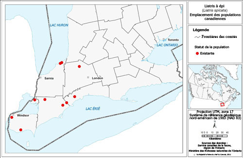 La figure 2 est une carte de l'aire de répartition canadienne du liatris à épi