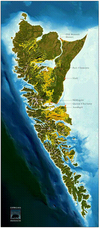 Figure 4. Map of Queen Charlotte Islandsshowing newly harvested forests (yellow), older forests (dark green) and boggy areas (brown).