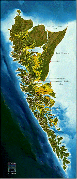 Figure 4.    Carte des îles de la Reine-Charlotte sur laquelle sont indiquées les forêts nouvellement exploitées (jaune), les forêts anciennes (vert foncé) et les zones marécageuses (brun).