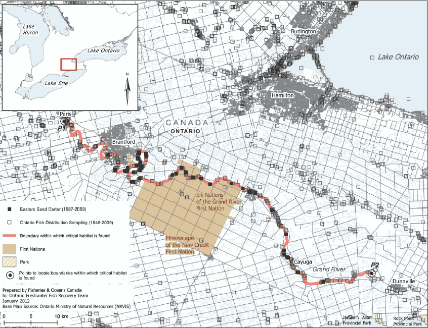 Figure 6. Area within which critical habitat is found for the Eastern Sand Darter in the Grand River. (See long description below)