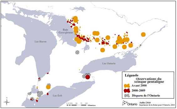 Figure 1(Voir description longue ci-dessous.)