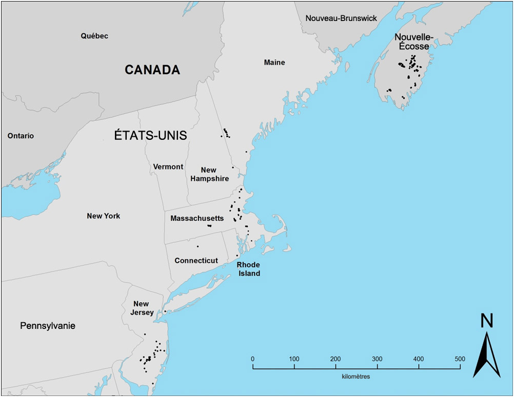 Répartition  mondiale du scirpe de Long