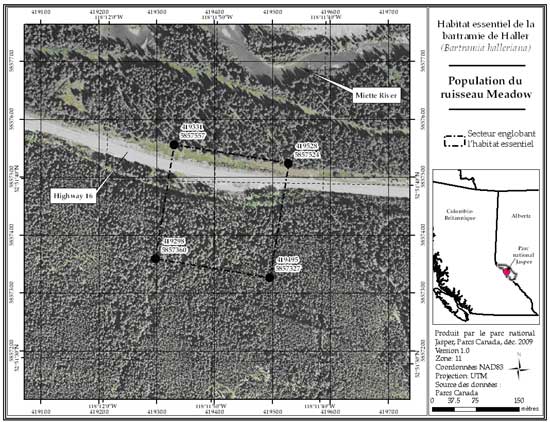 Figure 3: Secteur englobant l'habitat essentiel de la population du ruisseau Meadow, dans le parc national Jasper, en Alberta (parcelle 689_2). (Voir description longue ci-dessous.)