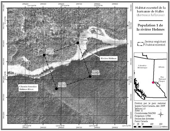 Figure 6: Secteur englobant l'habitat essentiel de la population 1 de la rivière Holmes, en Colombie-Britannique (parcelle 689_5). (Voir description longue ci-dessous.)
