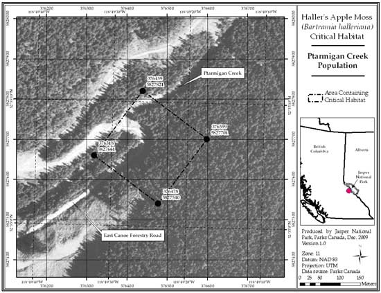 Figure 10: Location of critical habitat at Ptarmigan Creek, British Columbia (parcel 689_9). (See long description below)