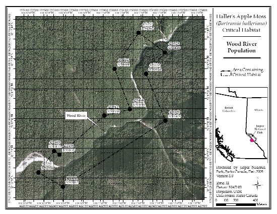 Figure 11: Location of critical habitat at Wood River, British Columbia (parcel 689_10). (See long description below)