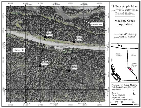 Figure 3: Location of critical habitat at Meadow Creek, Jasper National Park, AB (parcel 689_2). (See long description below)