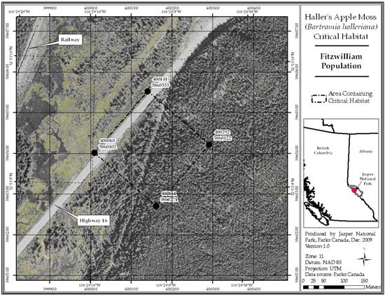 Figure 4: Location of critical habitat at Fitzwilliam Spur, Mount Robson Provincial Park, BC (parcel 689_3). (See long description below)